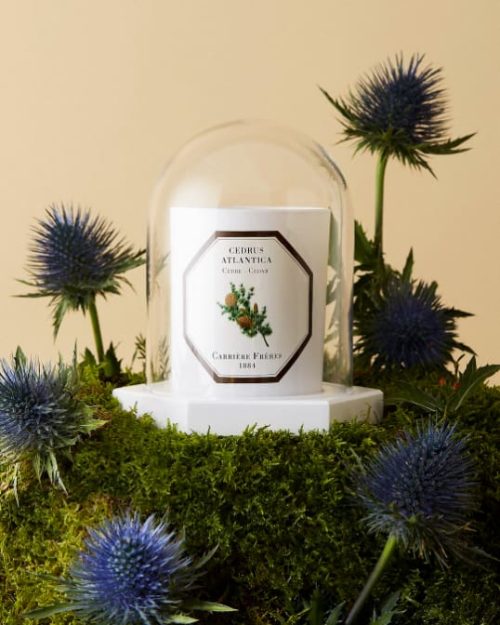 Szklana kopuła na świecę Carriere Freres