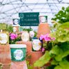 Uzupełniacz Geranium Carrière Frères