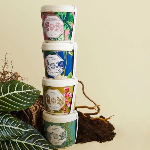 cf-pdp-recharge-04-1600x1600_2.jpeg Uzupełniacz Frangipani Carrière Frères