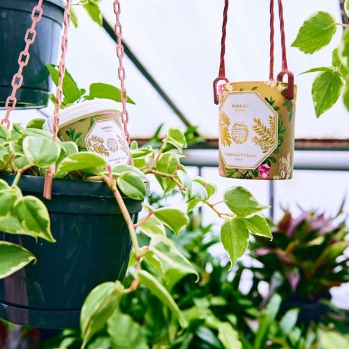 cf-pdp-recharge-05-1600x1600-1.jpeg Uzupełniacz Frangipani Carrière Frères