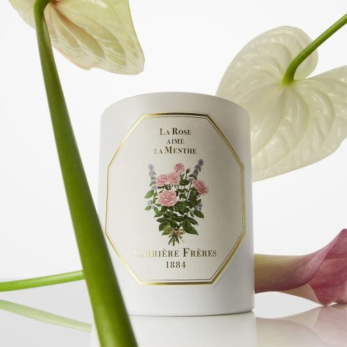 carri_re-fr_res--2024--1200x1200--rose-menthe-candle-3397690003495-_2_ ROM/24/CAR Świeca Róża kocha MiętęCarrière Frères