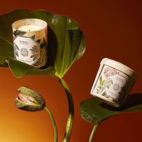 cf-frangipani-candle_refill-2024_2 RPLU/M24/CAR Uzupełniacz Frangipani Carrière Frères