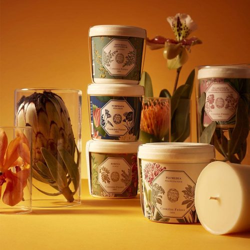 cf_-_all_refills_museum_-_2024 RPLU/M24/CAR Uzupełniacz Frangipani Carrière Frères