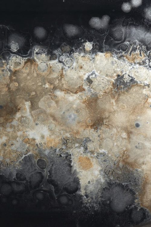 20467_det2_wf_product Taca dekoracyjna Black Organic Glass M Ethnicraft 20467