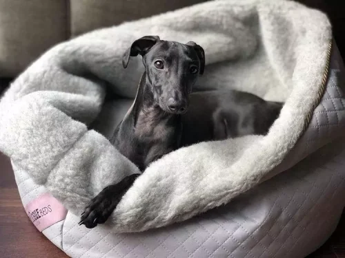 bow-meow-jasny-szary.jpg Legowisko Bow Meow Grafit XL MYDOGUE