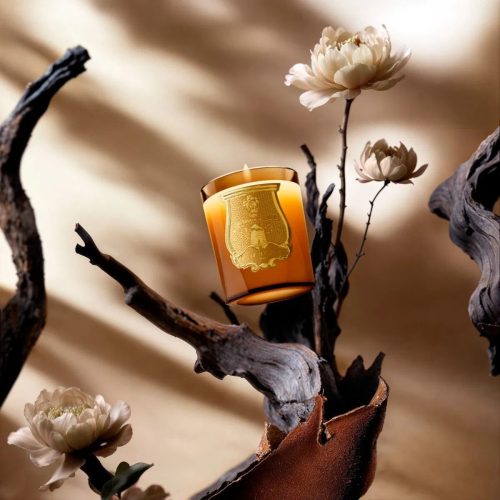 trudon_alta_r_7 Świeca ALTAIR Trudon