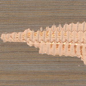 Tapeta Orion Un précieux enrichissement