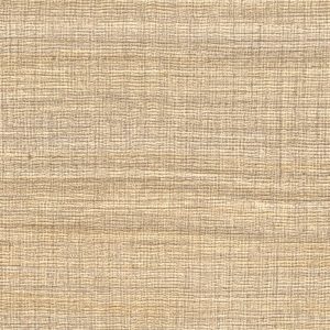 Tapeta Rhéa L'esprit des lieux VP 1008 06