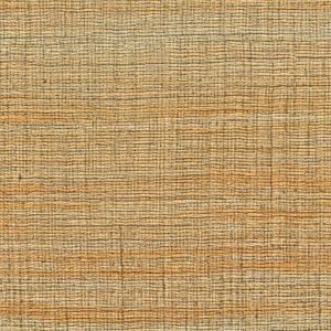 Tapeta Rhéa Un détour dans la savane VP 1008 11