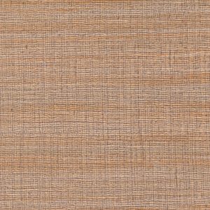 Tapeta Rhéa Son côté dandy VP 1008 15