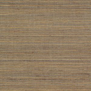 outdoor-maestria-favoris-rm-1070-05-ea2132d5f18ebff8a3f6fe108a Tapeta Favoris Briser les frontières RM 1070 05