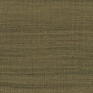 5 VP 1008 64 Rhéa - Entre mousse et lichen