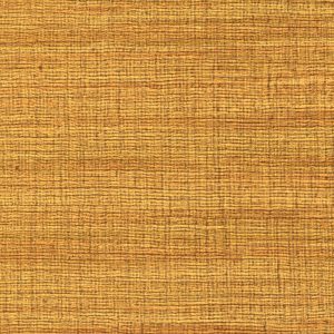 VP 1008 22 Rhéa - Préserver l'été