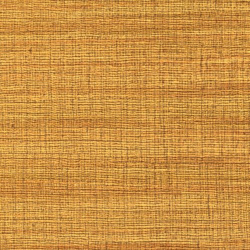 VP 1008 22 Rhéa - Préserver l'été