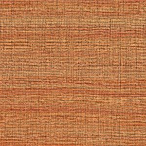 VP 1008 36 Rhéa - Sur les bords du Nil