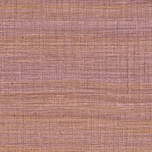 VP 1008 55 Rhéa - Un passé recomposé