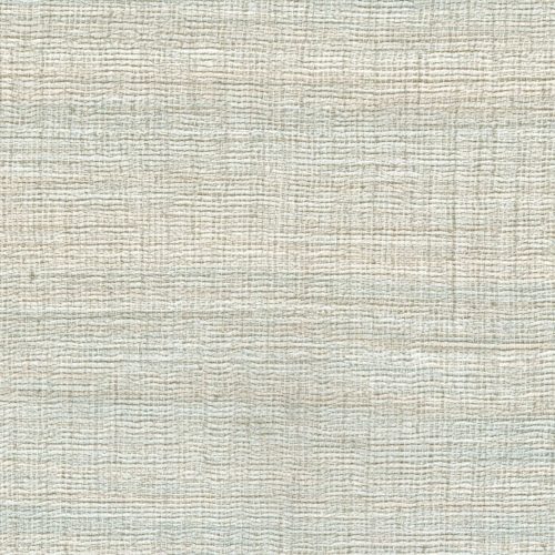 VP 1008 81 Rhéa - Le début d'une histoire