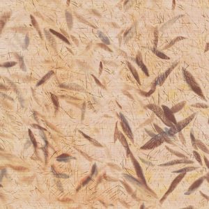 panoramique-ceres-ballet-vp-1014-01-d7c9cbcca4712643b88aa62d9865 VP 1014 01 Cérès - D'un battement d'ailes